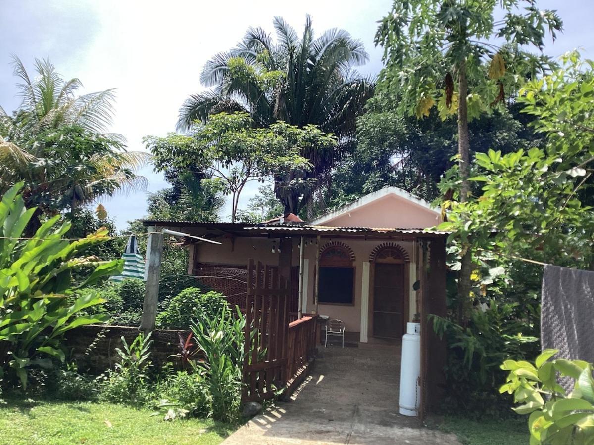 Exotic Flower Cabin2 Pool Agua Bendita Eksteriør billede
